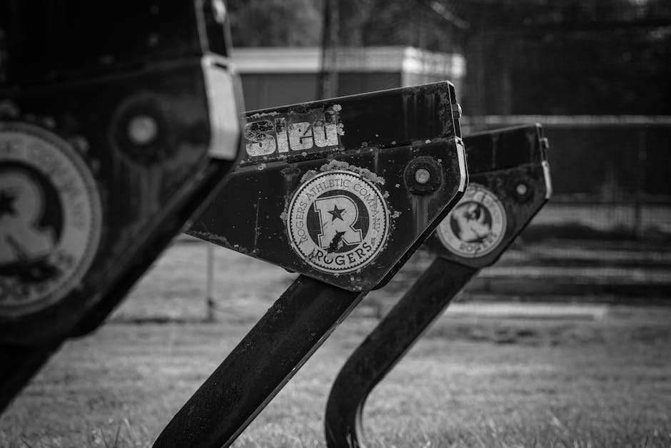 functional fitness arm mechanics sled training
