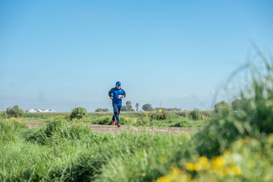 pelvic rotation running gait analysis