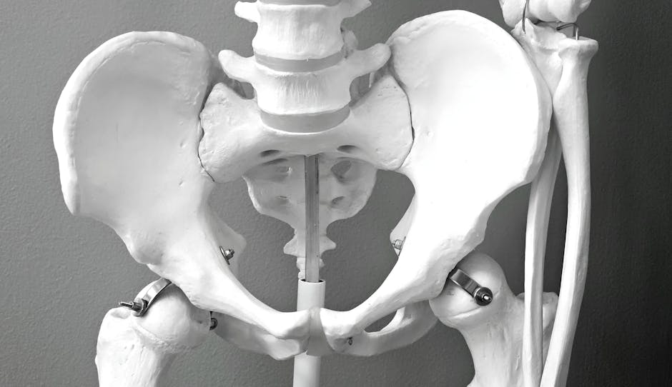 hip pelvic tilt posture athlete training