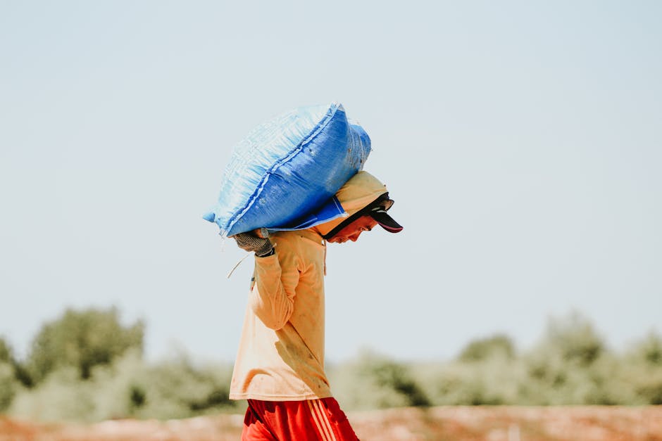 farmer carry functional movement pattern