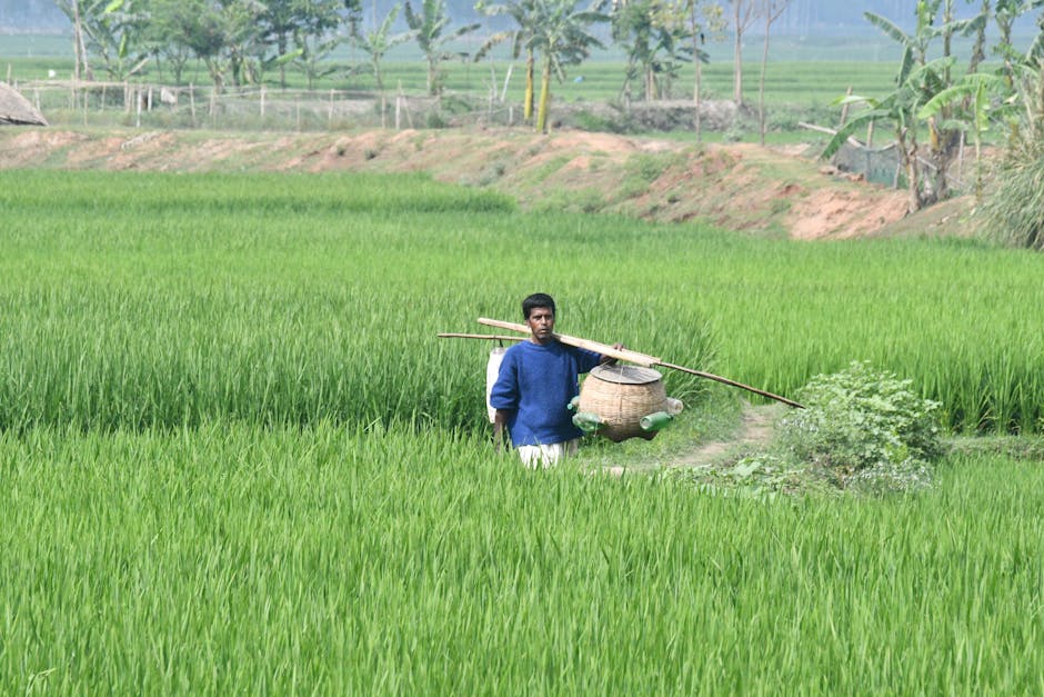 farmer carry technique correction foot placement