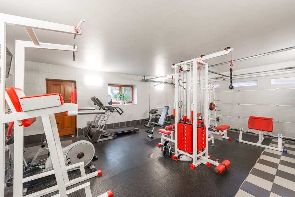 basic fitness equipment home gym